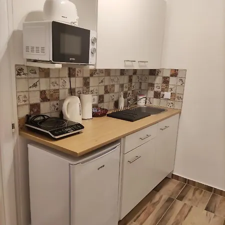 Apartment Katica Vendeghaz